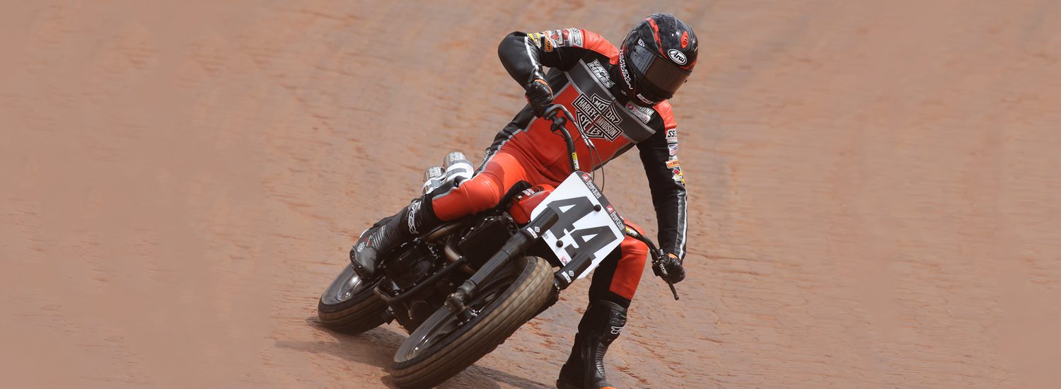 Harley davidson flat track shop